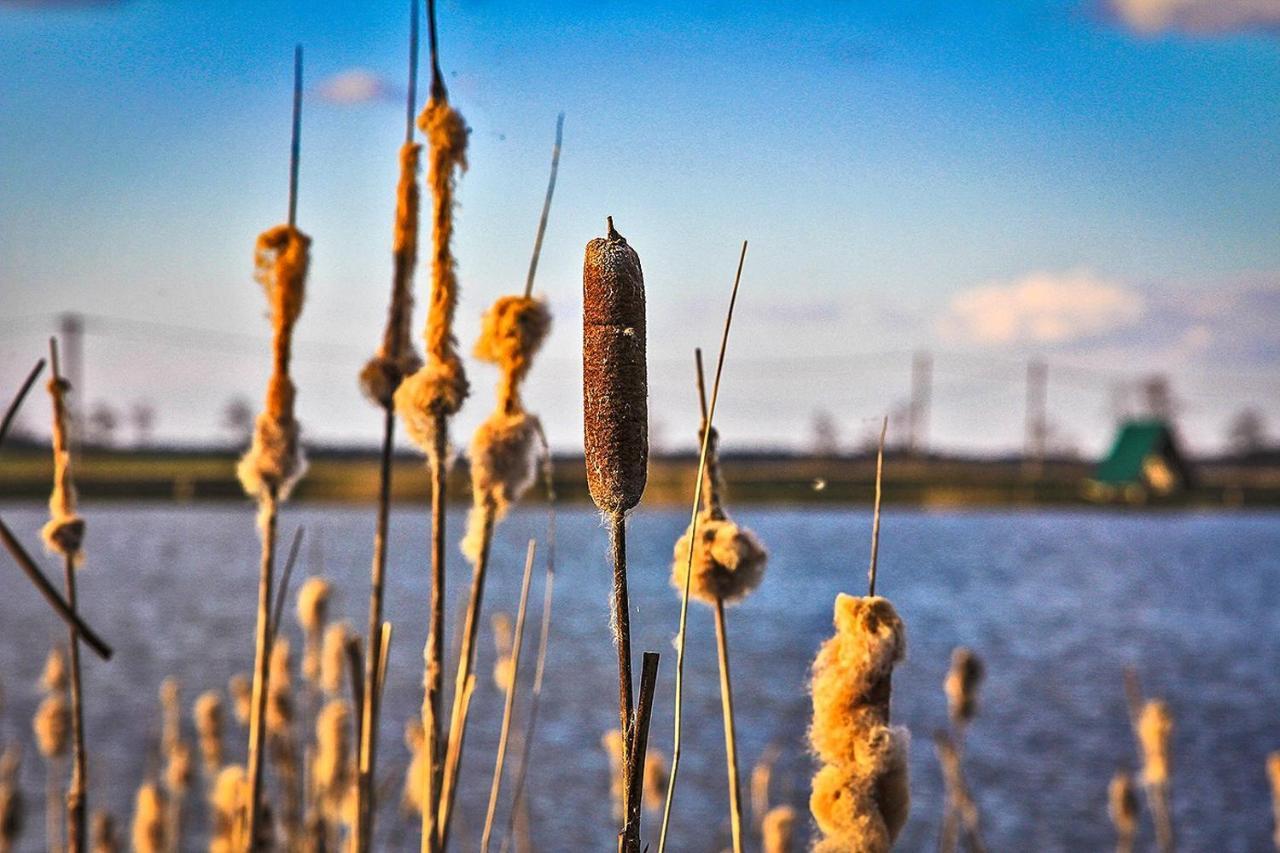Вилла Sterla - Masuria Гижицко Экстерьер фото